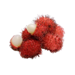 Rambutan – PKT