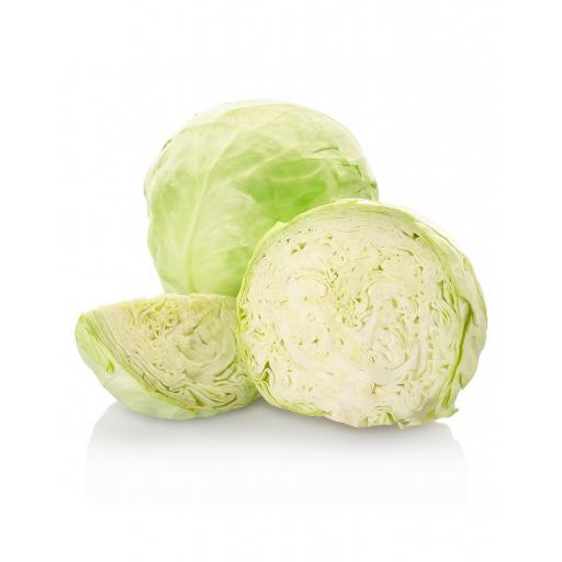 White Cabbage