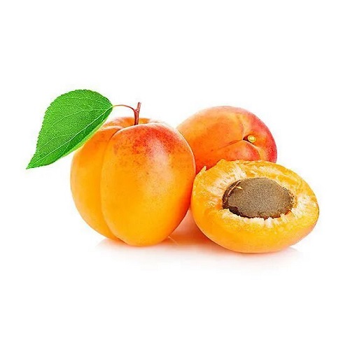 Apricot