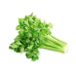 Celery