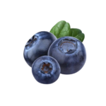 Blueberry