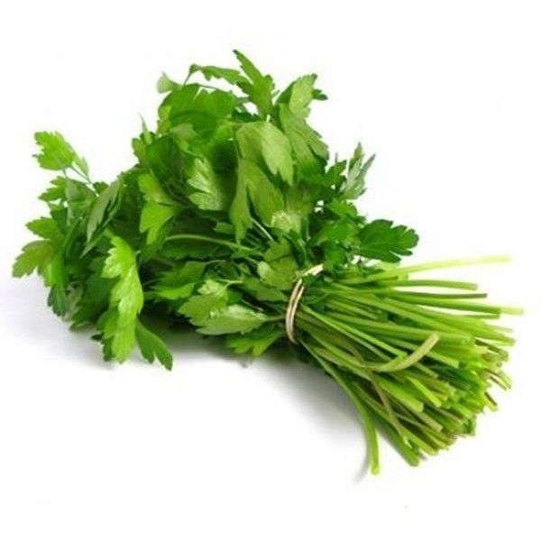 Green Coriander