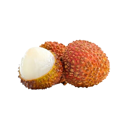 Lychee – PKT