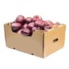 Onion – 17 kg (India)