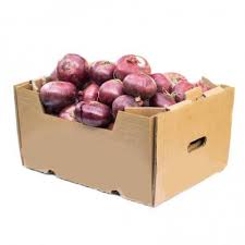 Onion – 17 kg (India)