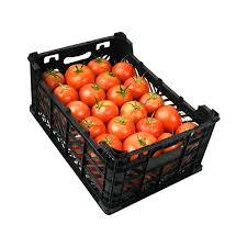 Tomato – 10 kg (Iran)
