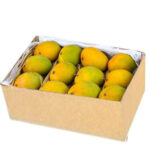 Mango Carton – Yemen