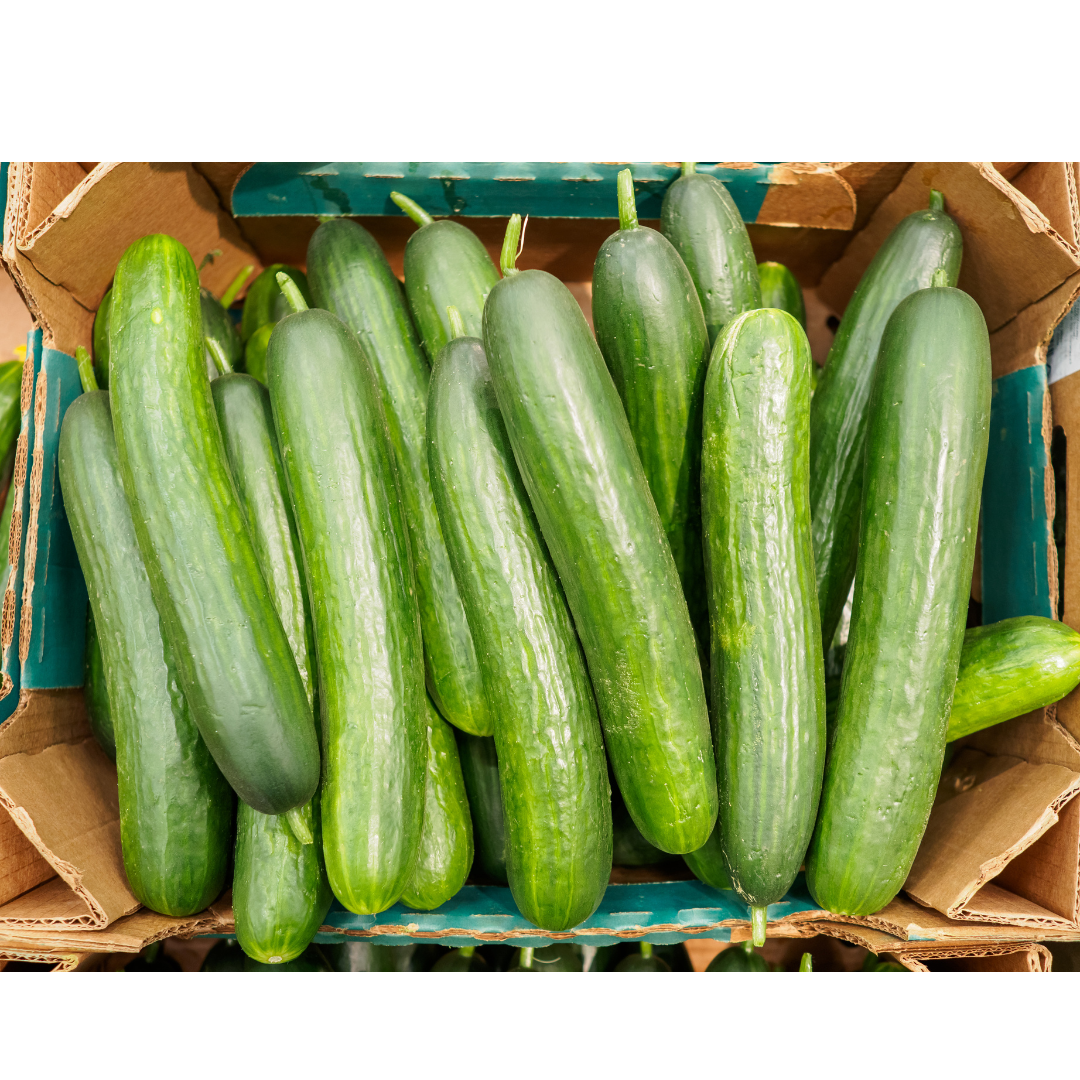 Cucumbers Carton 18 kg