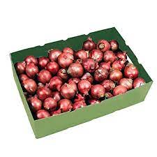 Onion India 20kg