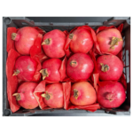 Pomegranate Box – Egypt