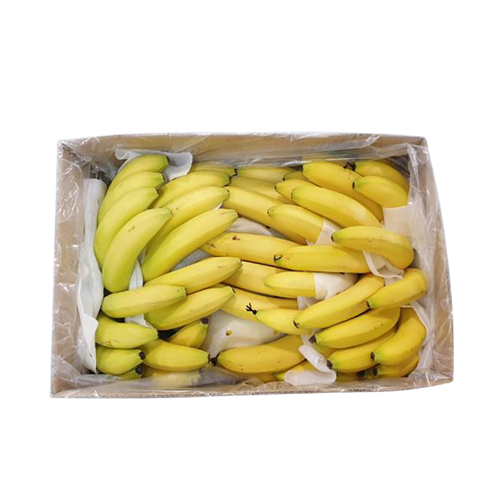 Banana Carton 14 KG – Philipenis