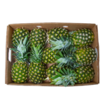 Pineapple Box 8 Pc