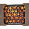 Fig 2 kg – UAE