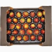 Fig 2 kg – UAE