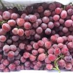 Red Grapes – Egyptian