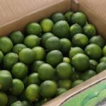 Lemon 5kg – Vietnam